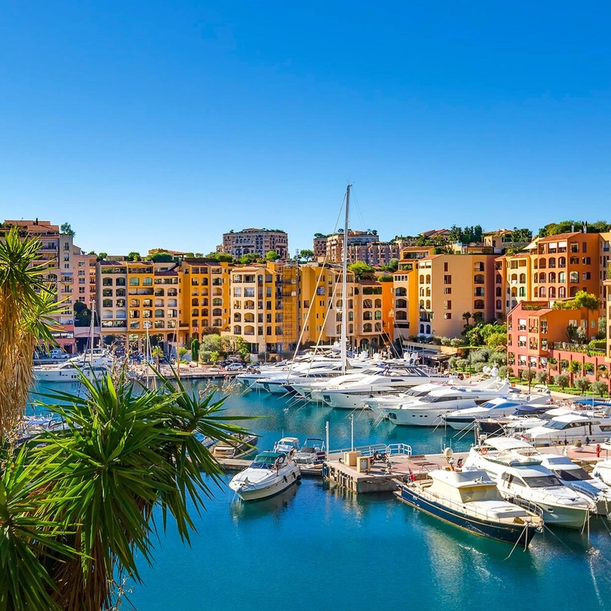 Fontvieille Monaco Real Estate — Homes for Sale and Rent
