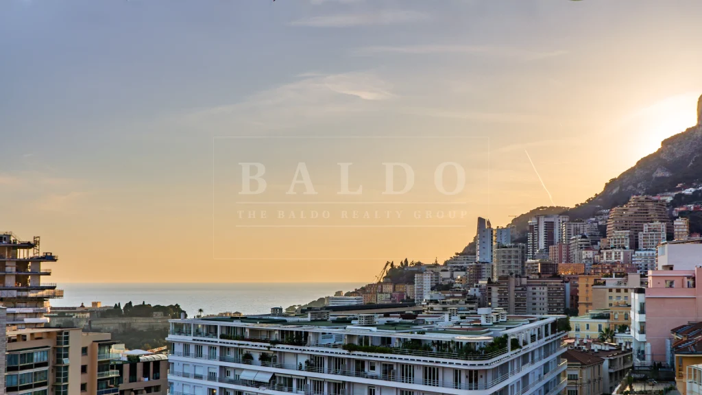 2 PIÈCES LUMINEUX RÉNOVÉ AVEC TERRASSE ET VUES PANORAMIQUES