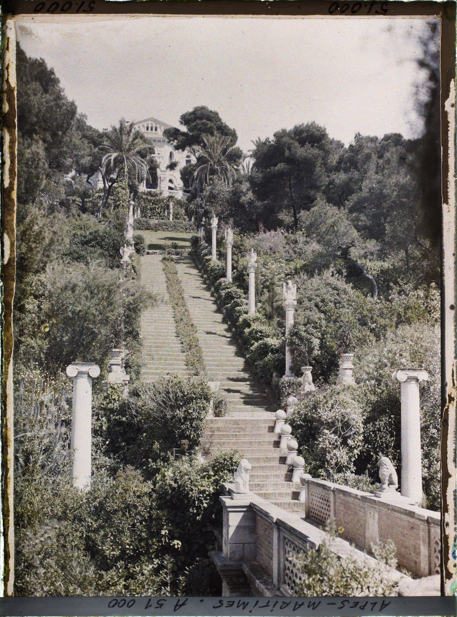 Archival autochrome of Villa Cypris and its long staircase descending through the garden to the sea